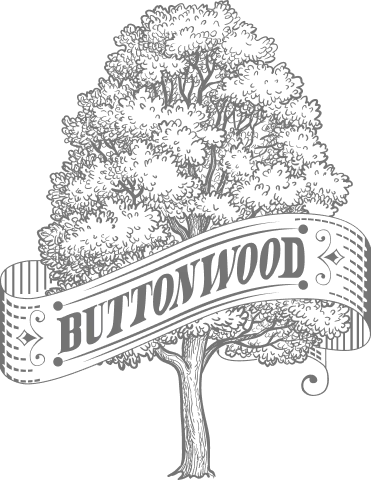 Buttonwood